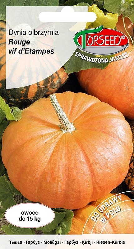 Nasiona Dynia olbrzymia Rouge vif d`Etampes 5g - Torseed
