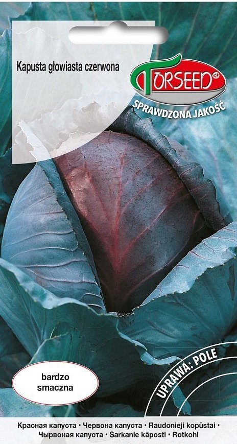 Nasiona Kapusta głowiasta czerwona Langedijker Dauer 2 1g - Torseed