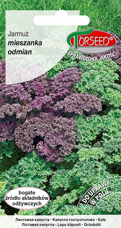 Nasiona Jarmuż mieszanka odmian 1g - Torseed