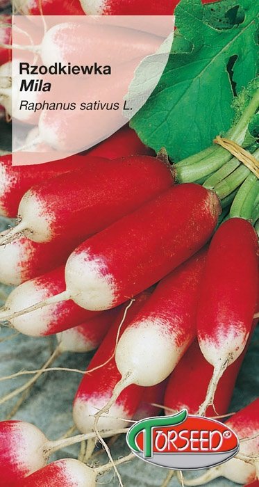 Nasiona Rzodkiewka Mila 5g - Torseed