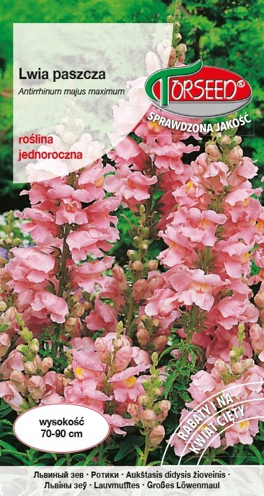 Nasiona Lwia paszcza różowa 1g - Torseed
