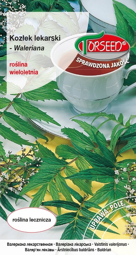 nasiona Kozłek lekarski, Valeriana officinalis 0,2g - Torseed