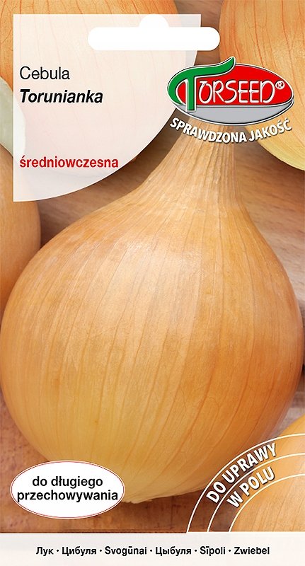 Nasiona Cebula Torunianka 5g - Torseed