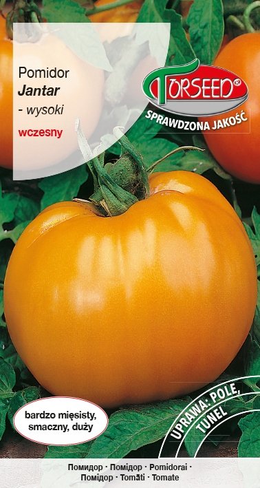 Nasiona Pomidor wysoki Jantar 0,2g - Torseed