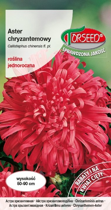 Nasiona Aster wysoki chryzantemowy czerwony 0,5g - Torseed