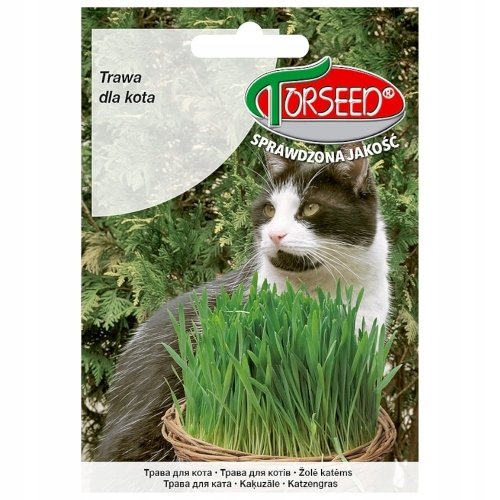 Nasiona Trawa dla kota 30g - Torseed