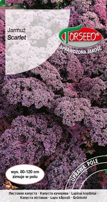 Nasiona Jarmuż Scarlet 1g - Torseed