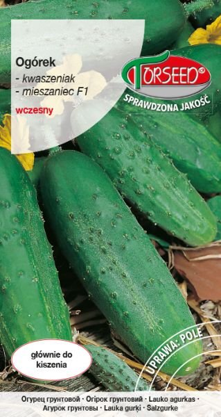 nasiona Ogórek gruntowy kwaszeniak, Julian F1 3g - Torseed
