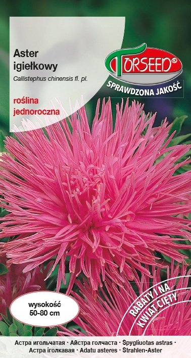 Nasiona Aster wysoki igiełkowy różowy 0,5g - Torseed