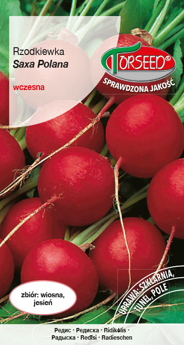 Nasiona Rzodkiewka (do upr.pod osł.i w polu) Saxa Polana 10g - Torseed