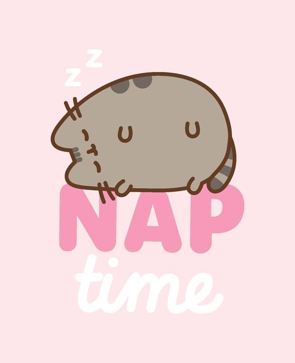 Koc 130x160 Pusheen The Cat Puszin Kot Kotek Kocyk Flanelowy Super Miękki