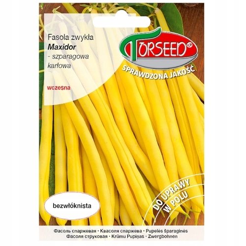 nasiona Fasola szparagowa zwykła karłowa, Maxidor 30g - Torseed