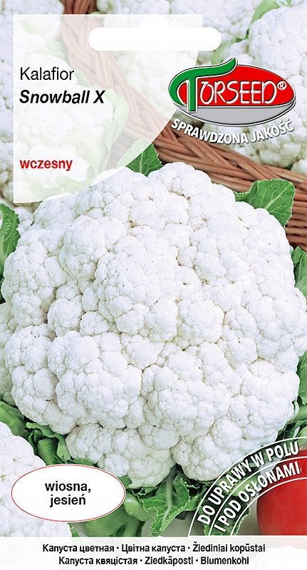Nasiona Kalafior Snowball X 1g - Torseed