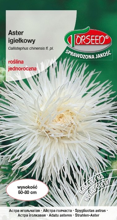 Nasiona Aster wysoki igiełkowy biały 0,5g - Torseed
