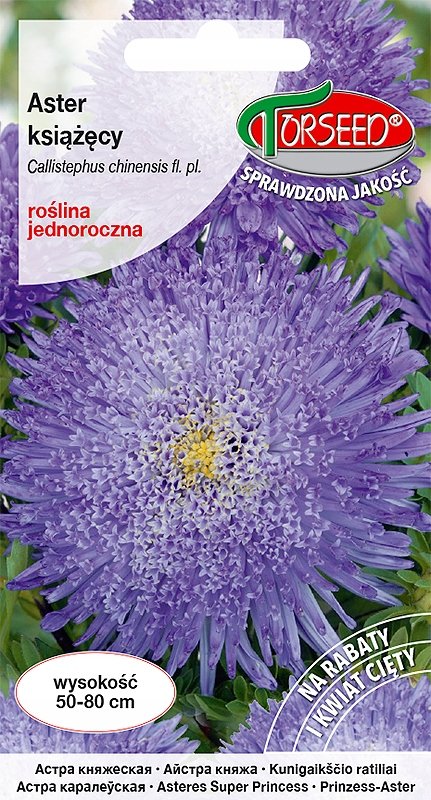 Nasiona Aster wysoki książęcy niebieskofioletowy 0,5g - Torseed