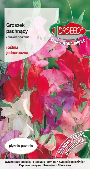 Nasiona Groszek pachnący mieszanka 4g - Torseed