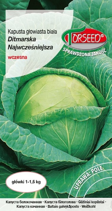 Nasiona Kapusta głowiasta biała Ditmarska Najwcześniejsza 2g - Torseed