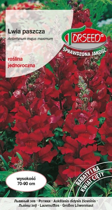 Nasiona Lwia paszcza ciemnokarminowa 1g - Torseed