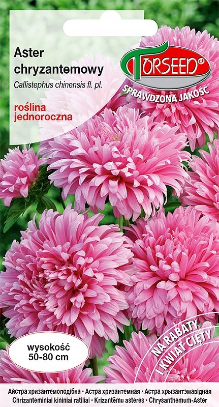 Nasiona Aster wysoki chryzantemowy różowy 0,5g - Torseed