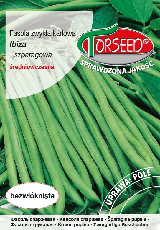 Nasiona Fasola karłowa szparagowa zielonostrąkowa Ibiza 20g - Torseed
