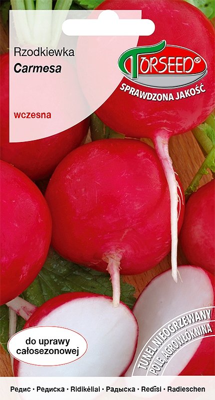 Nasiona Rzodkiewka Carmesa 5g - Torseed