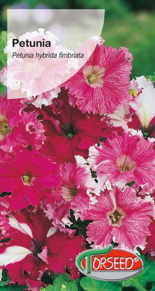 Nasiona Petunia fryzowana (strzępiasta) Koronkowy Welon - Torseed