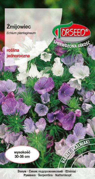 Nasiona Żmijowiec mieszanka - Torseed