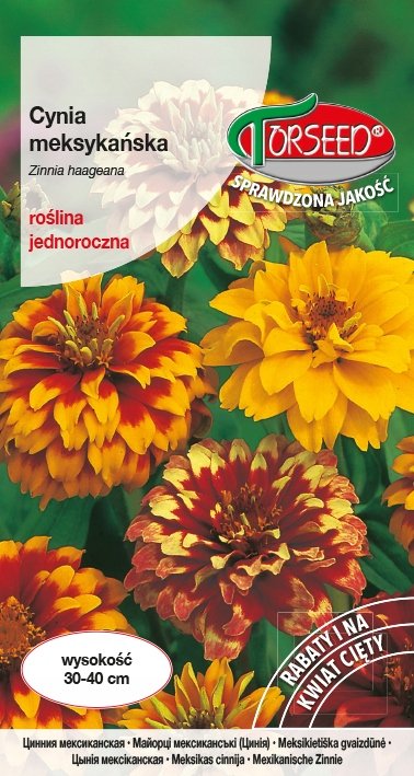Nasiona Cynia meksykańska mieszanka 1g - Torseed