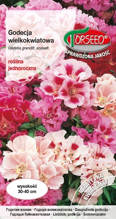 Nasiona Godecja wielkokwiatowa mieszanka 1g - Torseed