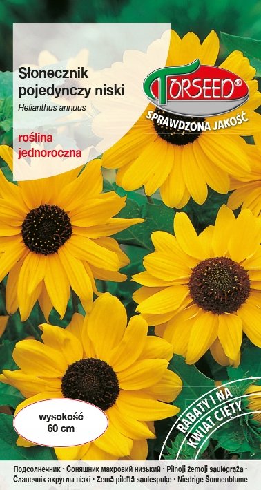 Nasiona Słonecznik kwiatowy pojedynczy niski żółty 2g - Torseed