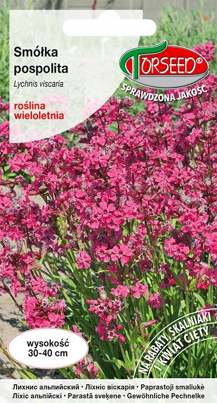 Nasiona Smółka pospolita różowa - Torseed