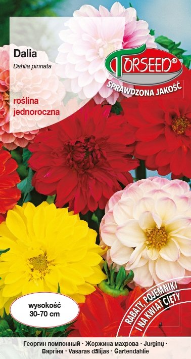 Nasiona Dalia pełna i półpełna mieszanka 1g - Torseed