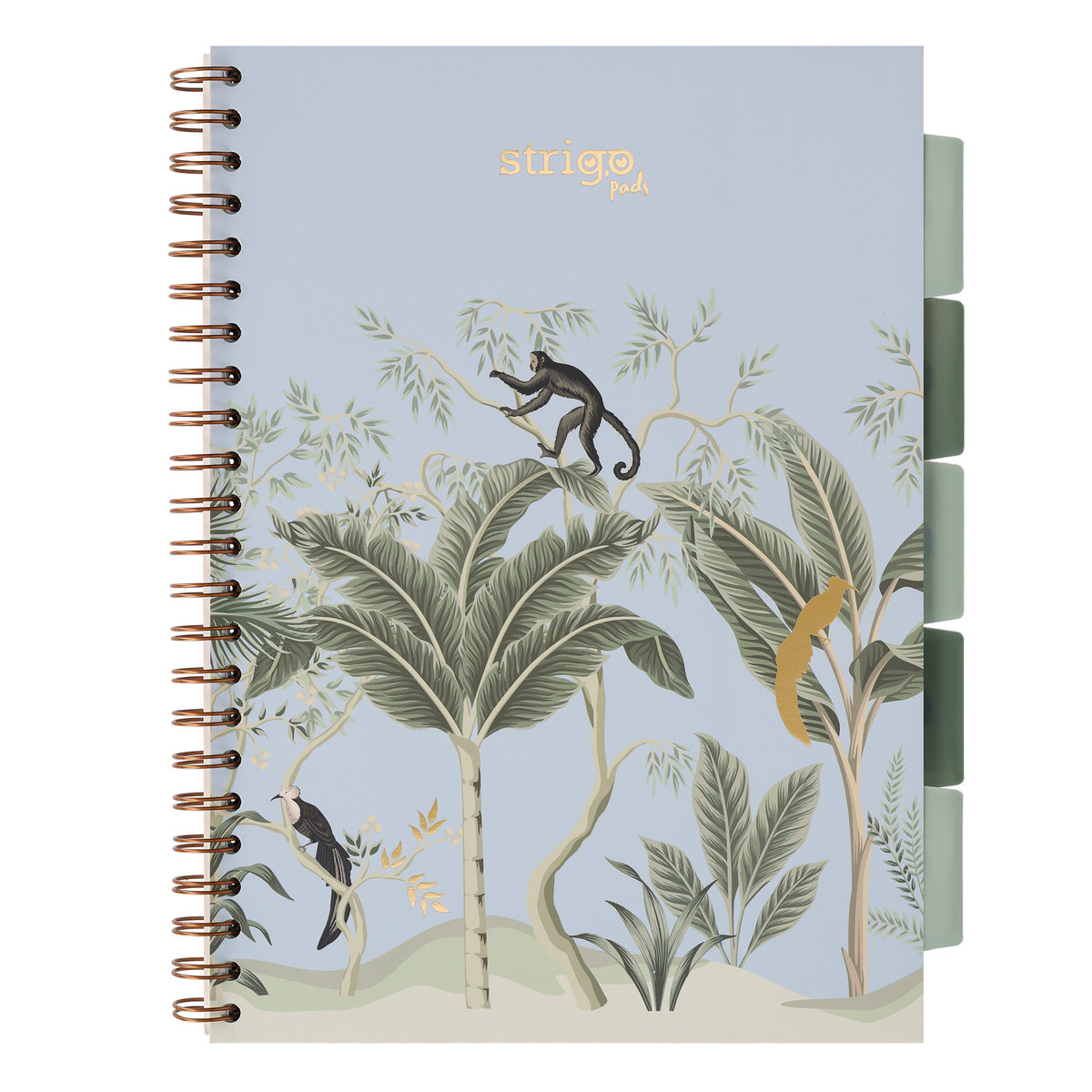 Kołozeszyt STRIGO PADS Project Book A4 kratka Afryka pastelowy niebieski