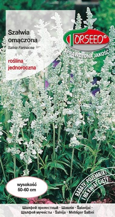 Nasiona Szałwia omączona niebieska 0,5g - Torseed