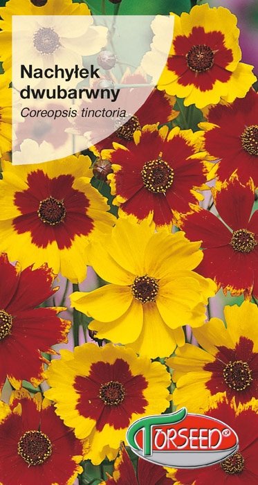 Nasiona Nachyłek dwubarwny żółty z brązowym środkiem 2g - Torseed