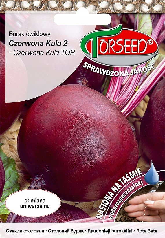 Nasiona Burak ćwikłowy Czerwona Kula 2 TAŚMA 100szt - Torseed