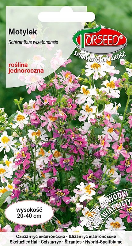 Nasiona Motylek mieszanka 1g - Torseed