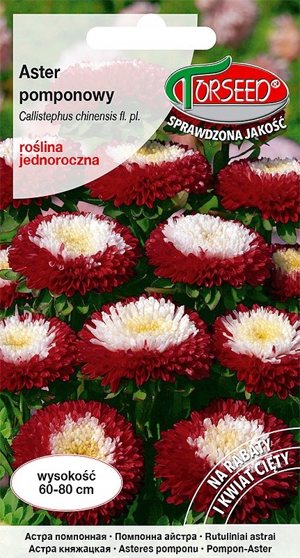 Nasiona Aster wysoki pomponowy biało- Torseed