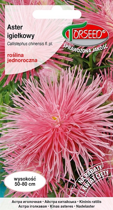Nasiona Aster wysoki igiełkowy czerwonołososiowy - Torseed