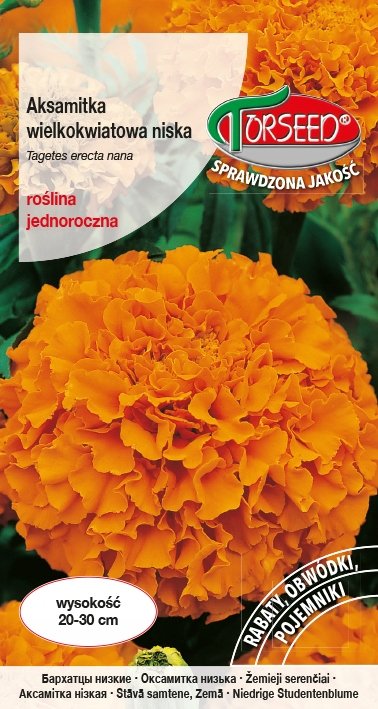 Nasiona Aksamitka wielkokwiatowa niska pomarańczowa 1g - Torseed