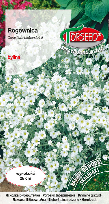 Nasiona Rogownica biała - Torseed