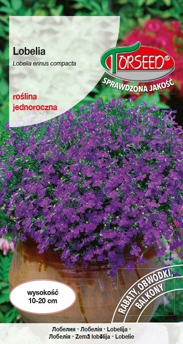 Nasiona Lobelia (Stroiczka) modrofioletowa 0,2g - Torseed