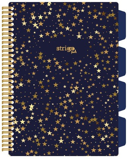 Kołozeszyt STRIGO PADS Project Book B5 kratka Gwiazdy