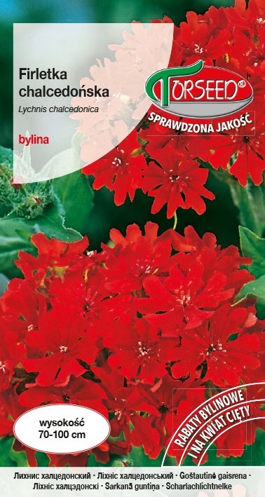 Nasiona Firletka chalcedońska czerwona 0,5g - Torseed