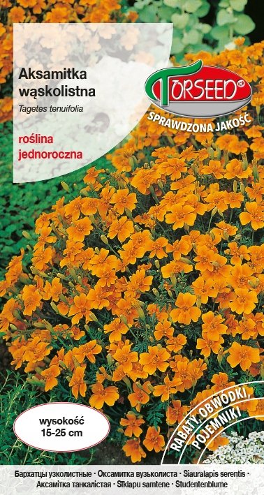 Nasiona Aksamitka wąskolistna pomarańczowa 0,5g - Torseed