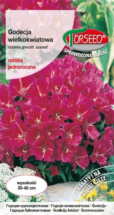 Nasiona Godecja wielkokwiatowa karminowoszkarłatna 1g - Torseed
