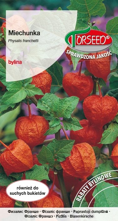 Nasiona Miechunka pomarańczowa 0,5g - Torseed