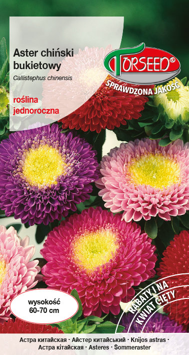 Nasiona Aster wysoki bukietowy mieszanka 1g - Torseed