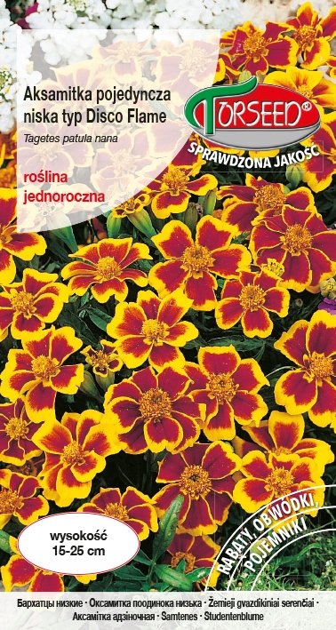 Nasiona Aksamitka pojed.niska Disco miodowokarminowa 1g - Torseed