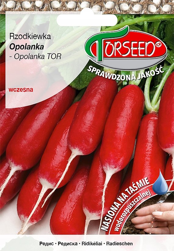 Nasiona Rzodkiewka (do upr.pod osł.i w polu) Opolanka TAśMA 165szt - Torseed